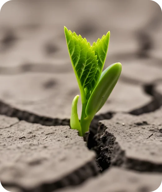 Readiness Today. Resilience Tomorrow. - Emergency preparedness and crisis management training